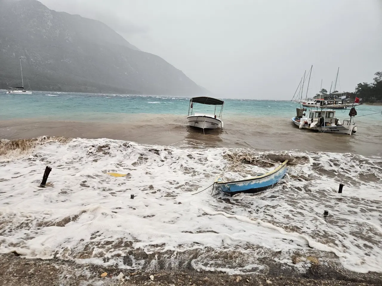 Muğla’da doğa felaketi! Dev çam ağaçları yolu kapattı 4