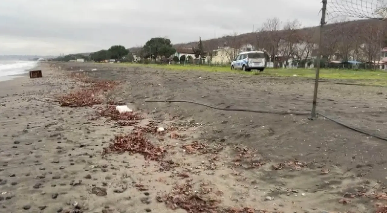 Atakum sahilinde esrarengiz sandık! Üzerinde Rusça yazılar 2