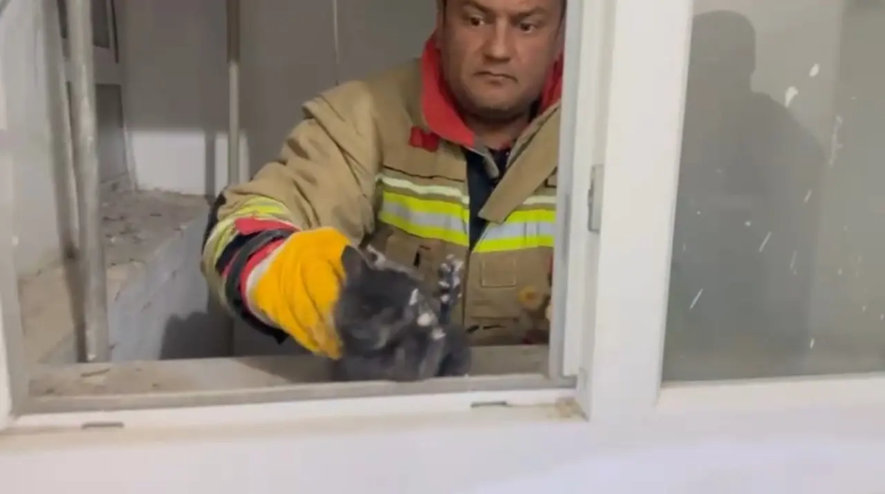 Hatay’da nefes kesen kurtarma! Minik yavru kedi son anda hayata tutundu 1