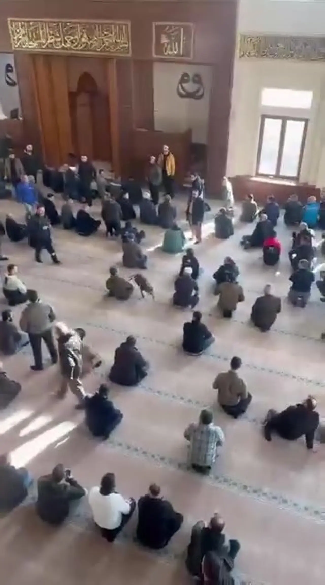 Kocaeli’de cuma namazı vakti camiye pitbull girdi! Cemaat korku dolu anlar yaşadı 4