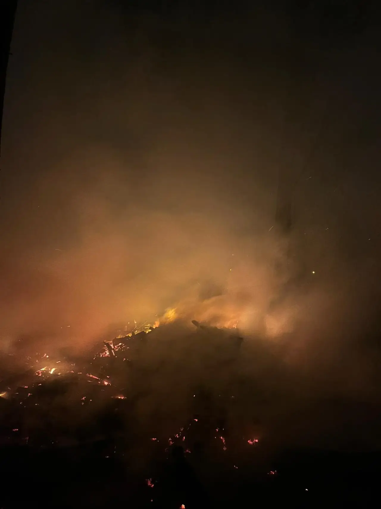 Filyos'ta korkutan yangın! Ağaçlık alan alevlere teslim 1