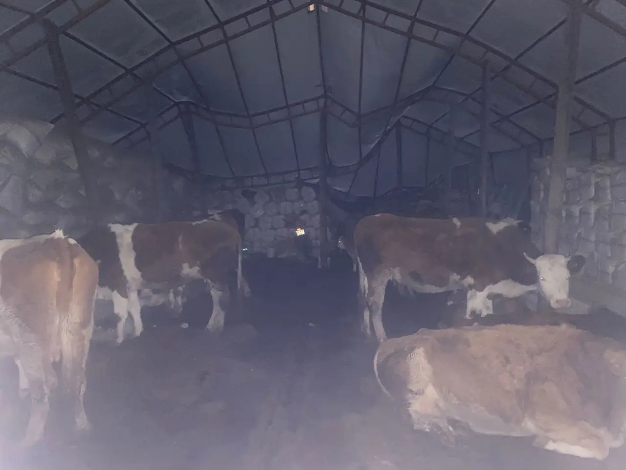 Tunceli’de asılsız ihbar skandalı! 2 iş makinesi ve 15 saatlik mesai boşa gitti 3