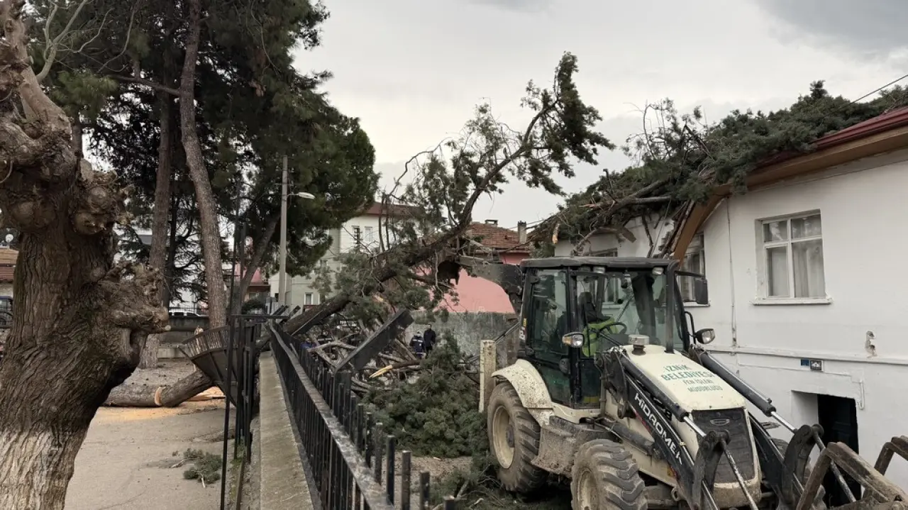 Bursa’da lodos dehşeti! Okul bahçesindeki dev çam ağacı evin üzerine devrildi 5