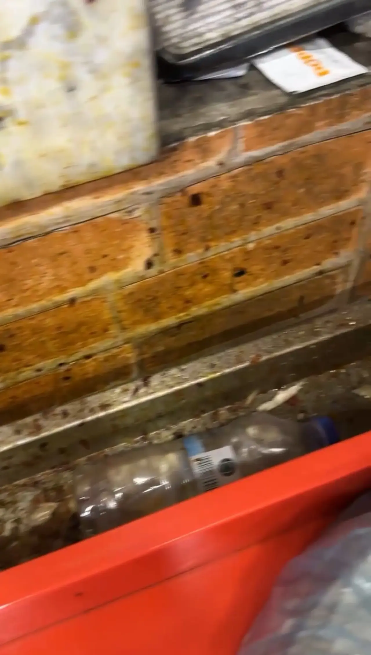 AVM restoranında hijyen skandalı! Böcek yuvası böyle kaydedildi 6