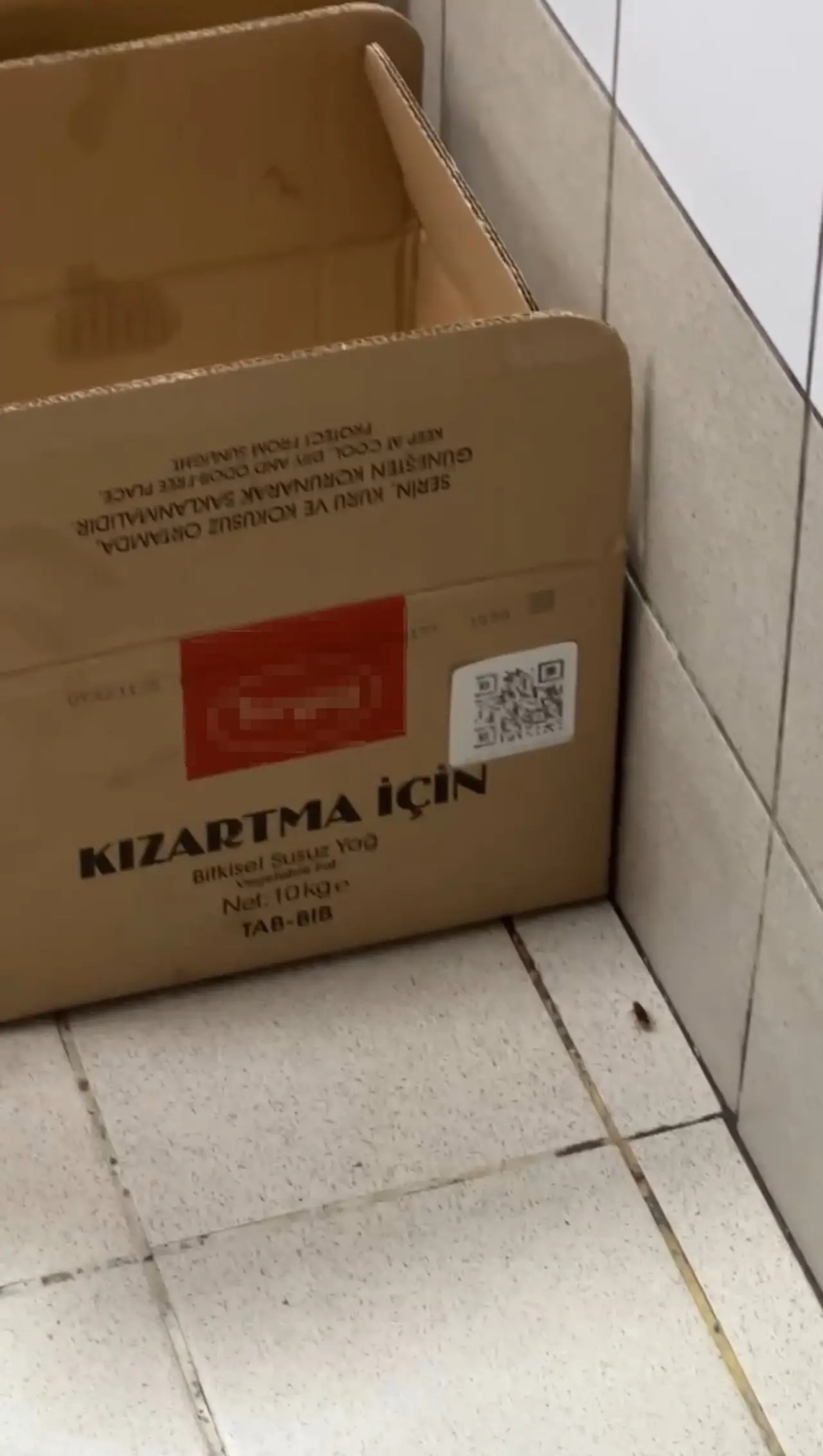 AVM restoranında hijyen skandalı! Böcek yuvası böyle kaydedildi 5