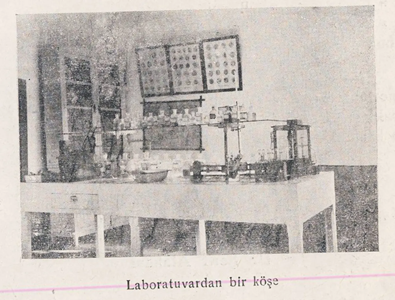 Sivas Numune Hastanesi’nin İsmi ve Tarihi Nereden Geliyor? 4
