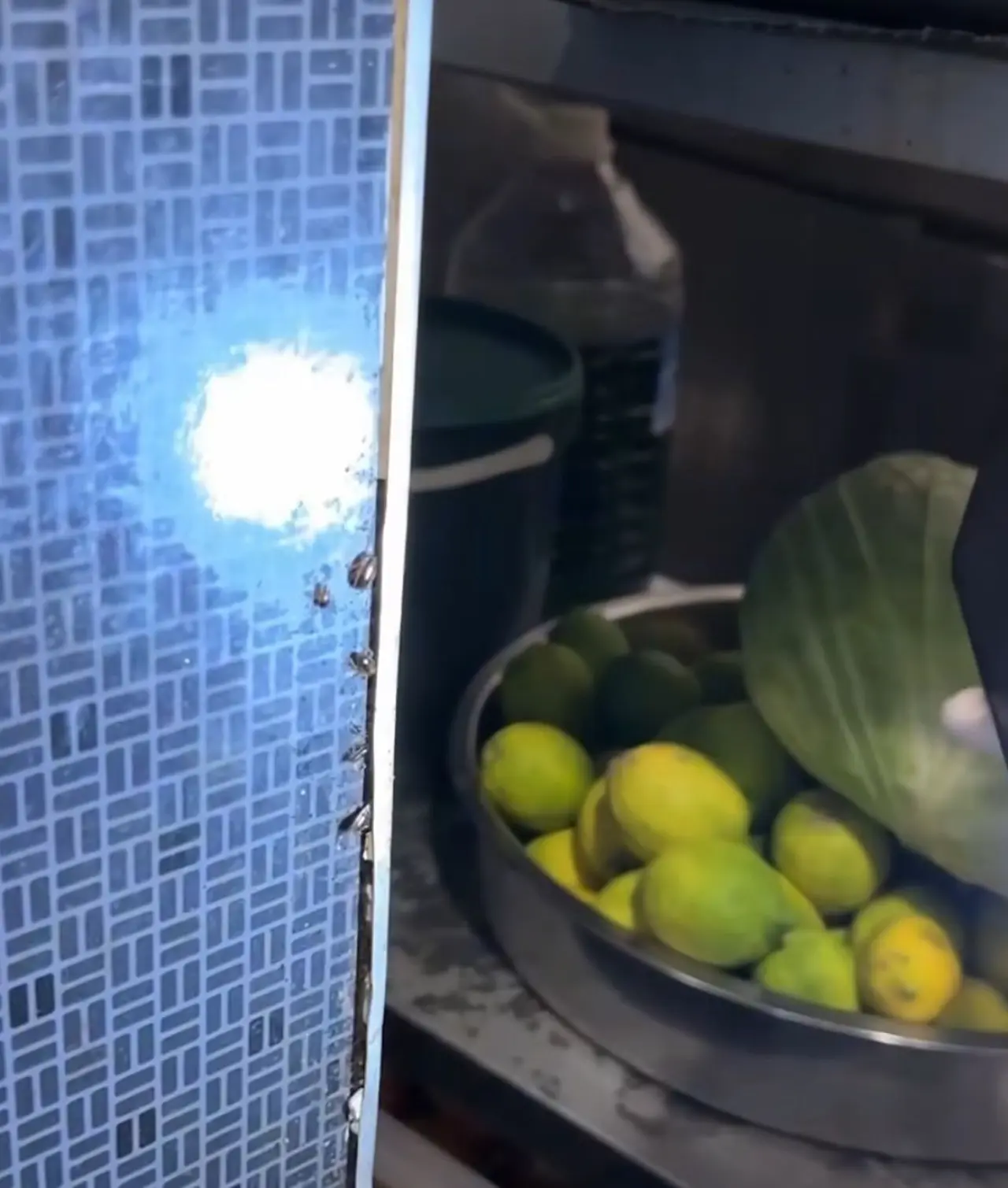 AVM restoranında hijyen skandalı! Böcek yuvası böyle kaydedildi 2