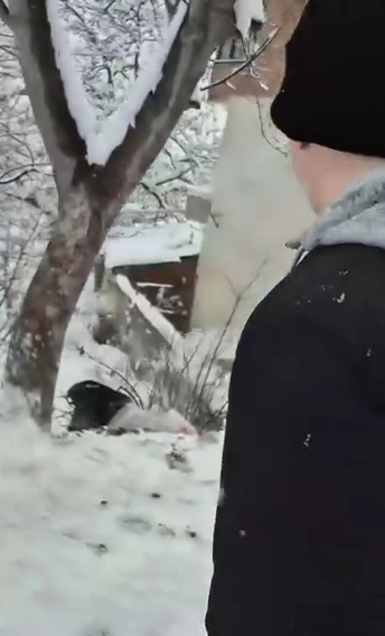 Poşetle kayarken bahçeye uçtular! Tokat'ta kar eğlencesi kabusa döndü 2