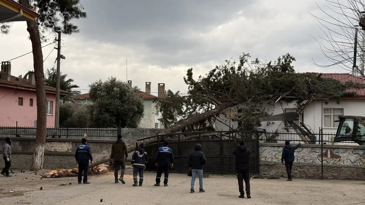 Bursa’da lodos dehşeti! Okul bahçesindeki dev çam ağacı evin üzerine devrildi 6