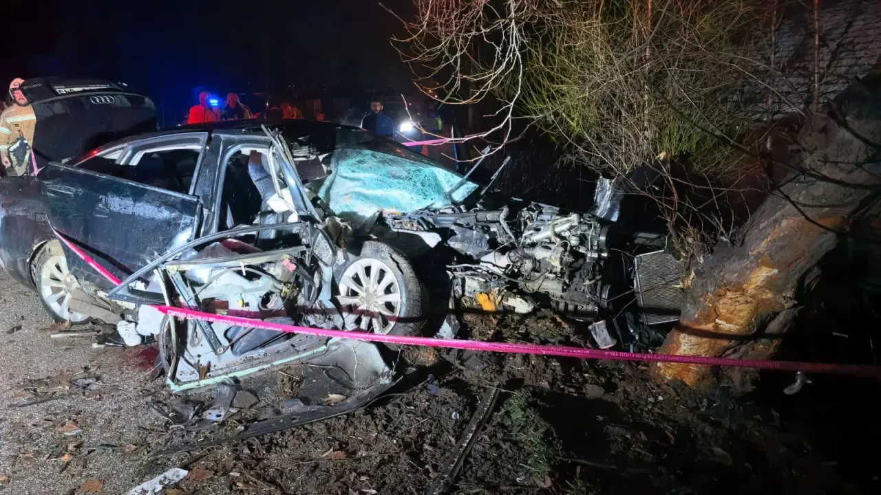 Kontrolünü kaybeden otomobil ağaca saplandı! 2 ölü, 2 yaralı 5