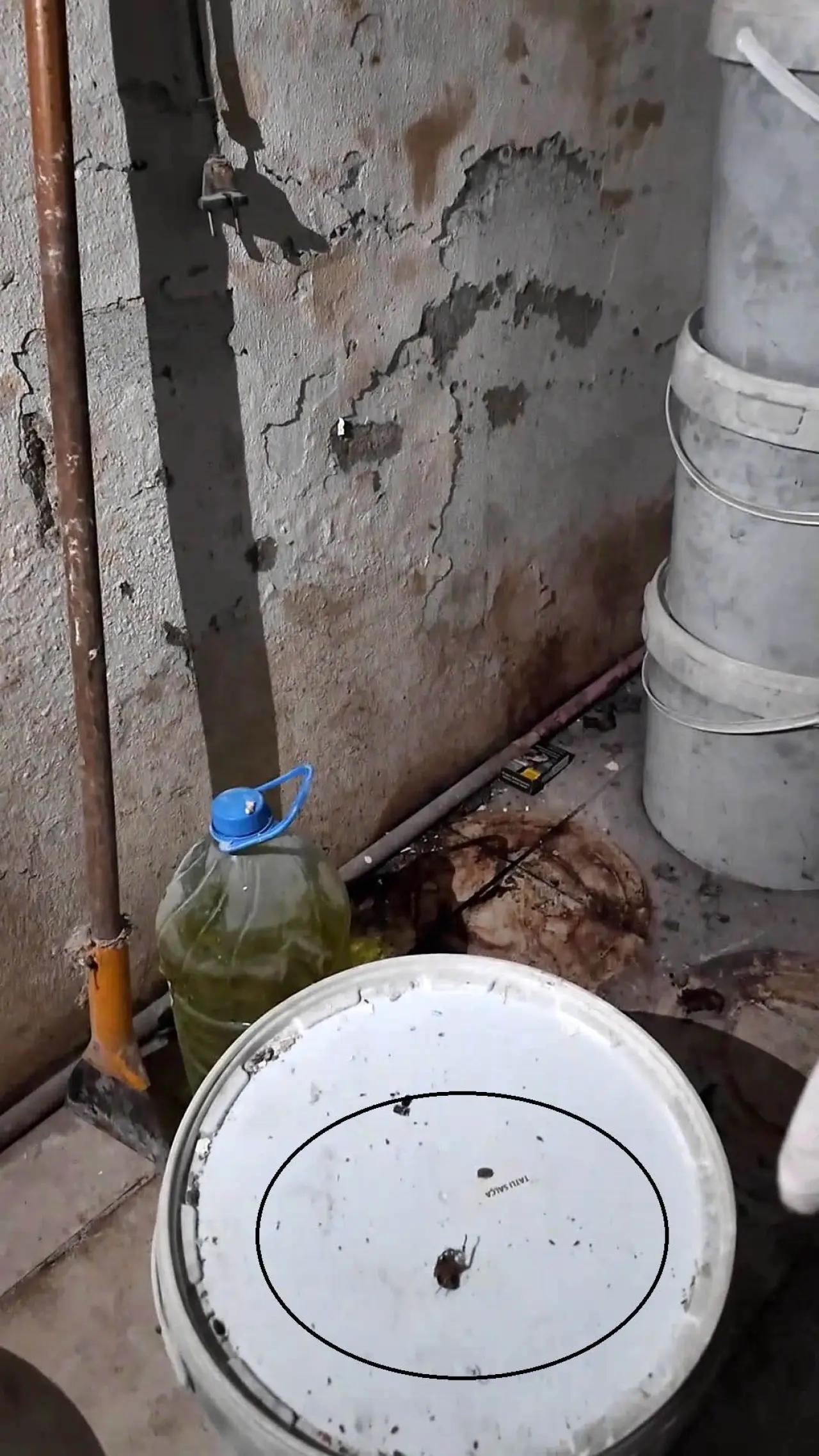 Dörtyol’da fırınlardan skandal görüntüler! Ekmek eksik, imalathane böcek dolu 1