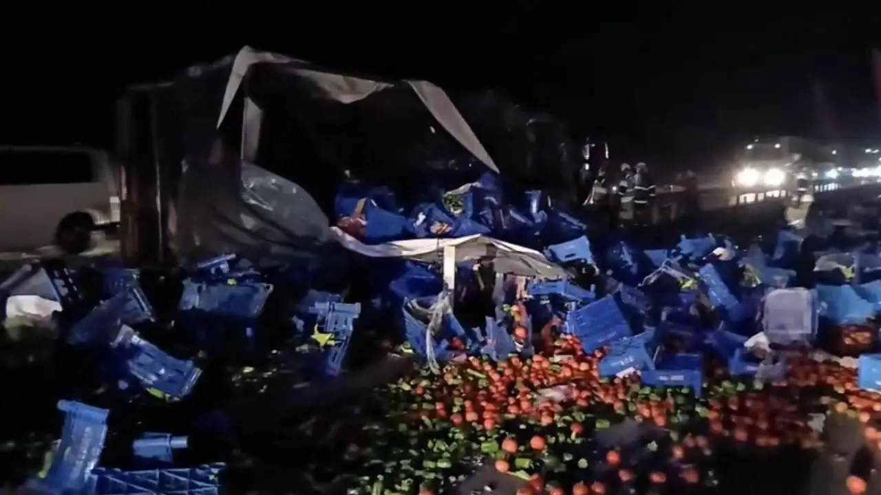 Sağanak felaketi! Meyve yüklü tır devrildi, karayolu meyve tarlasına döndü 3