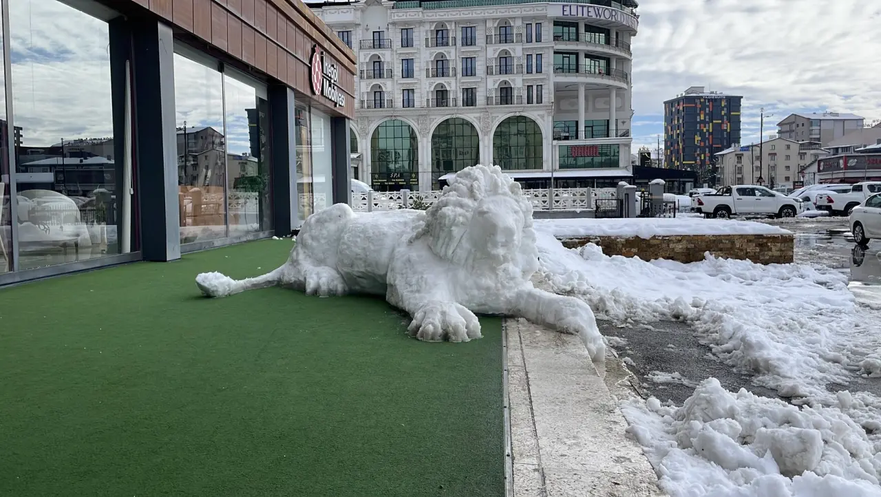 Kardan Adam Değil, Kardan Aslan Yaptı 7