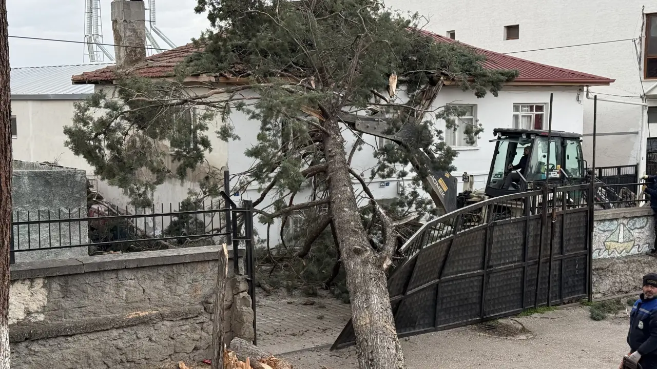 Bursa’da lodos dehşeti! Okul bahçesindeki dev çam ağacı evin üzerine devrildi 3
