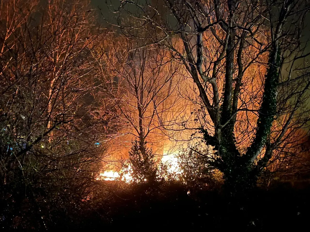 Filyos'ta korkutan yangın! Ağaçlık alan alevlere teslim 2