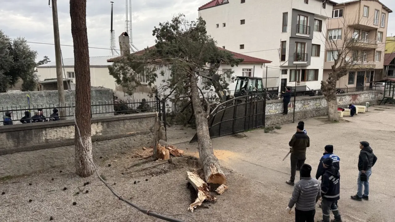 Bursa’da lodos dehşeti! Okul bahçesindeki dev çam ağacı evin üzerine devrildi 2