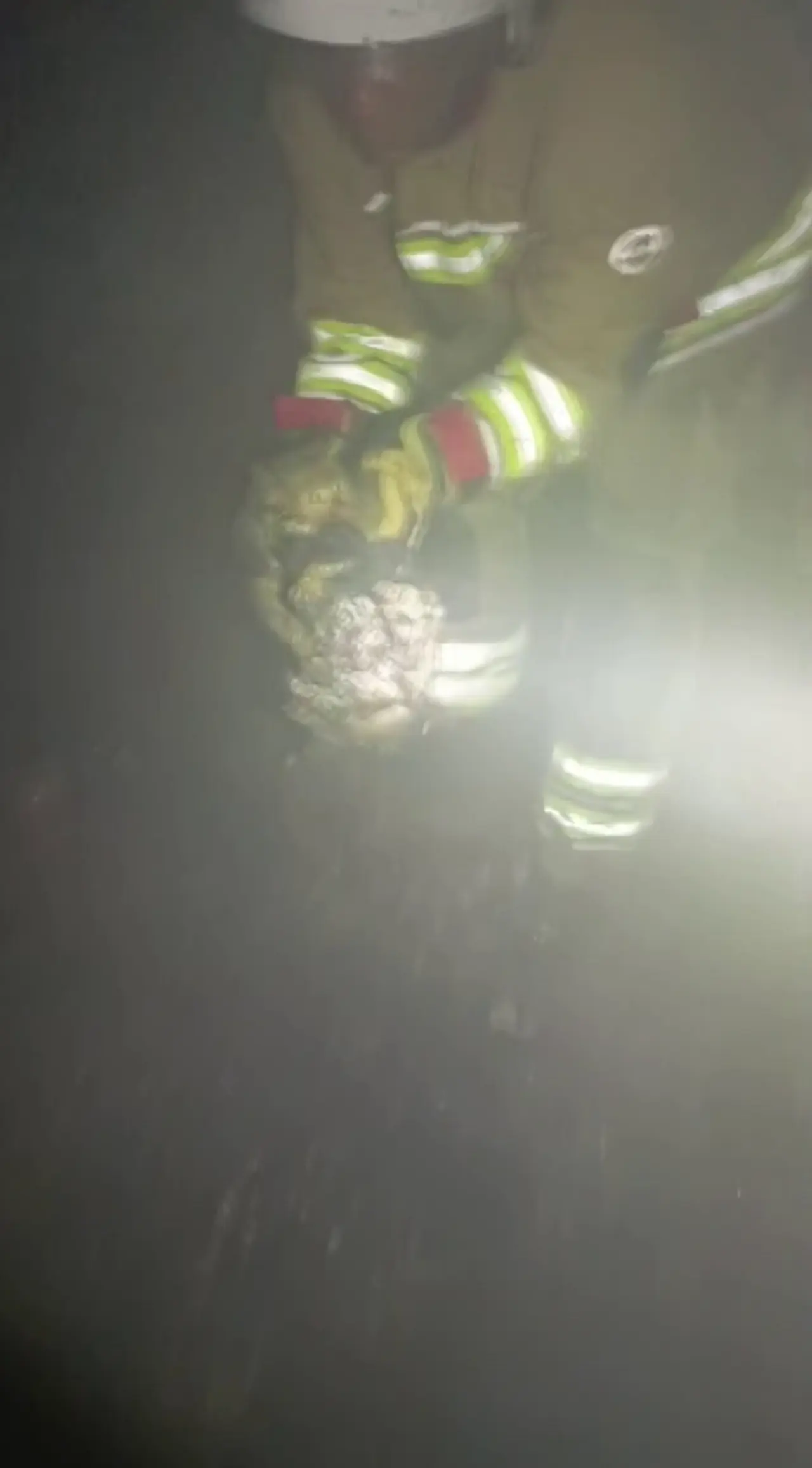 Kedinin kurtarılma anı yürekleri ısıttı: Yangında mucize! 2