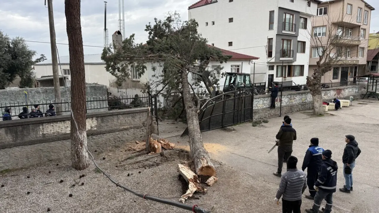 Bursa’da lodos dehşeti! Okul bahçesindeki dev çam ağacı evin üzerine devrildi 1