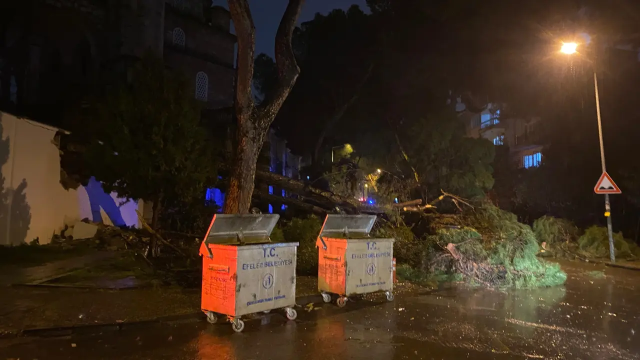 Aydın’da dehşet anları! Ağaç otomobilin üzerine devrildi 3