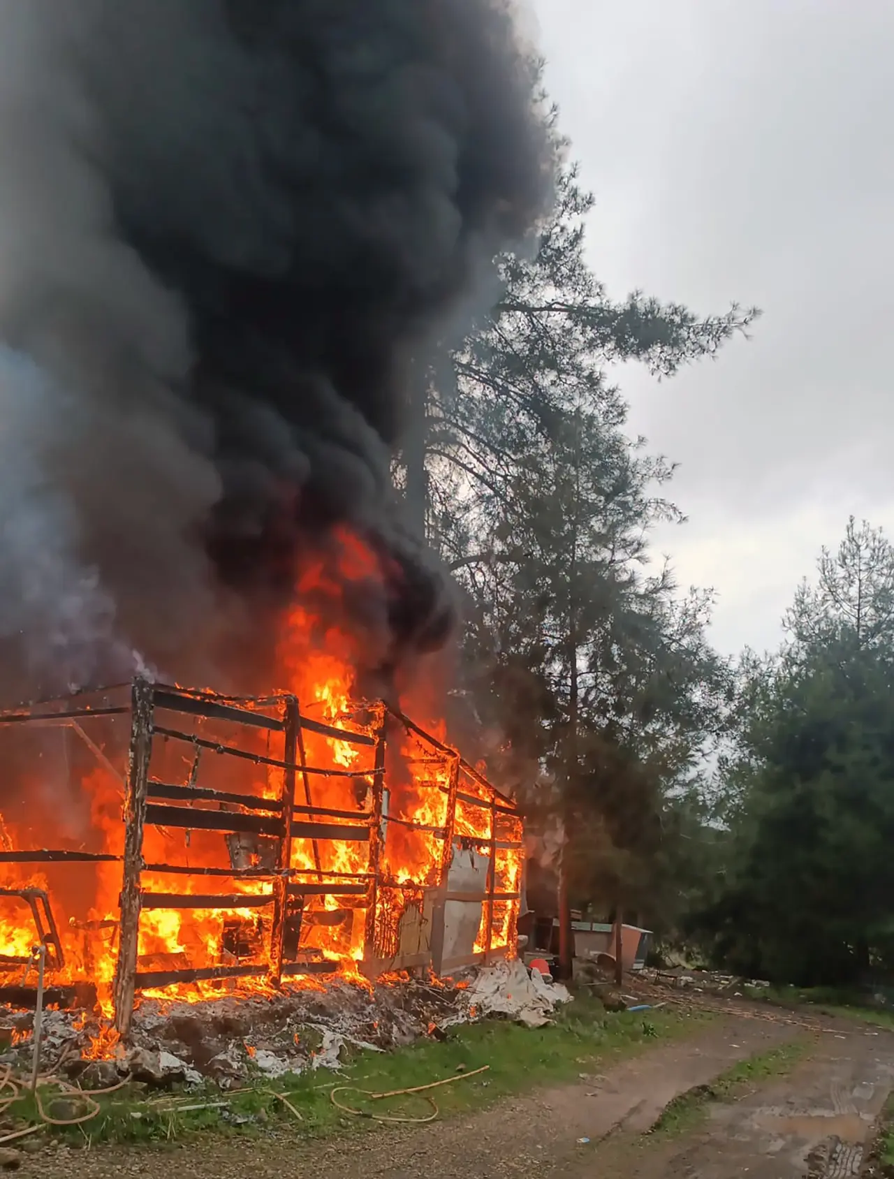 Muğla’da alev alev yanan hasır ev tamamen kül oldu! 2