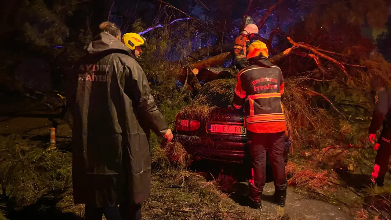 Aydın’da dehşet anları! Ağaç otomobilin üzerine devrildi 2