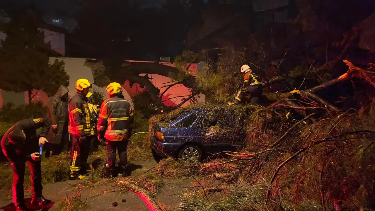 Aydın’da dehşet anları! Ağaç otomobilin üzerine devrildi 1