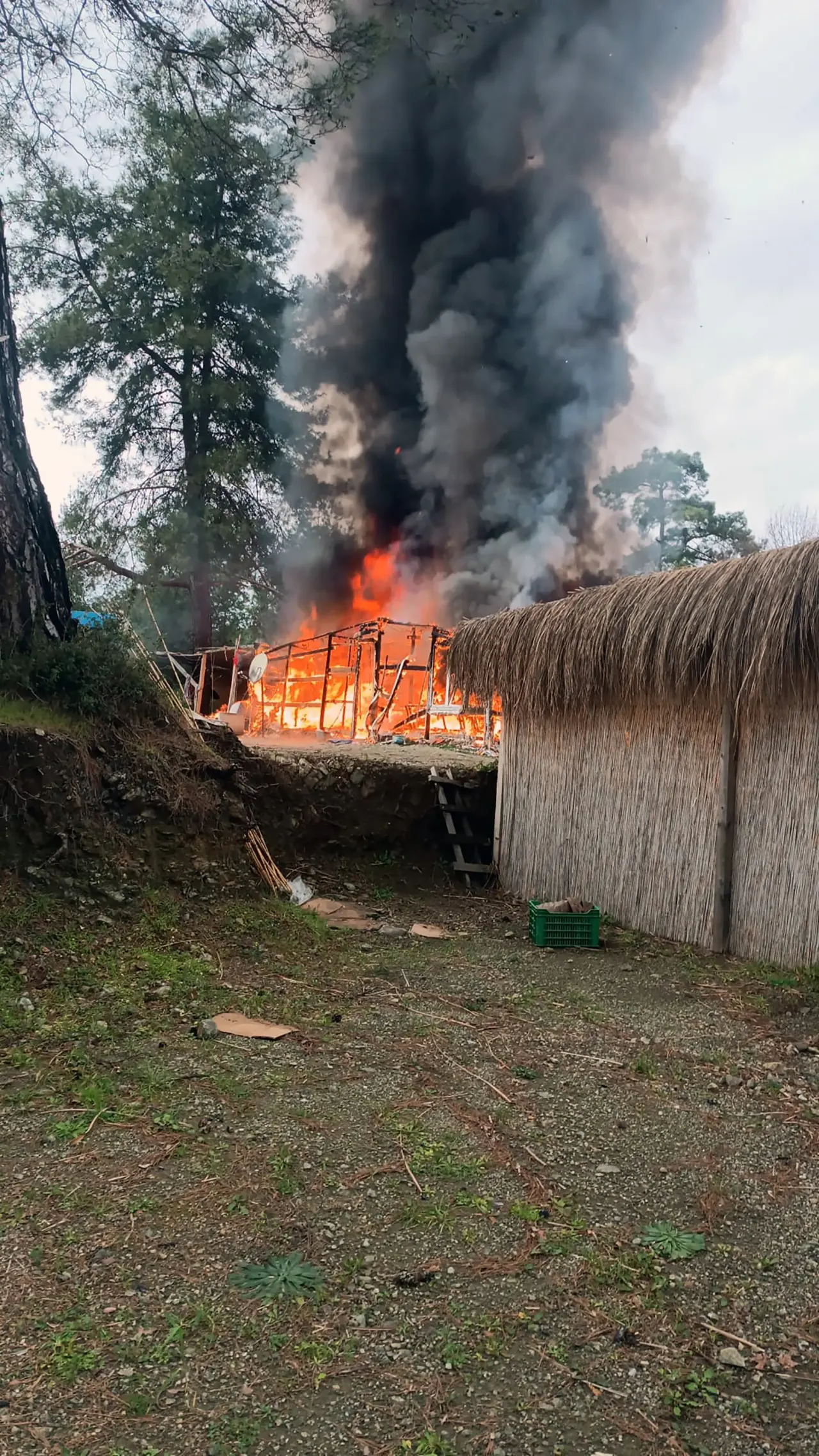 Muğla’da alev alev yanan hasır ev tamamen kül oldu! 3