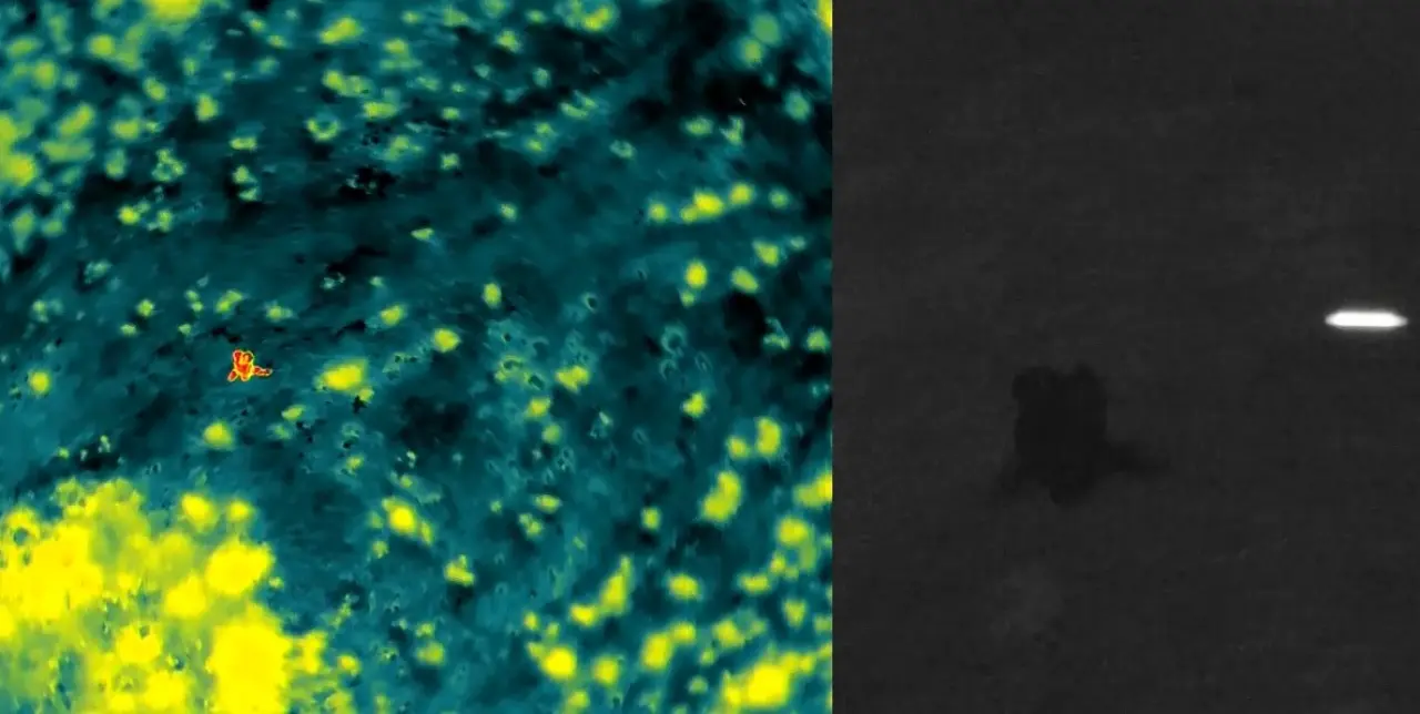 afad-ekipleri-kayip-zihinsel-engelli-vatandasi-termal-kameralarla-buldu